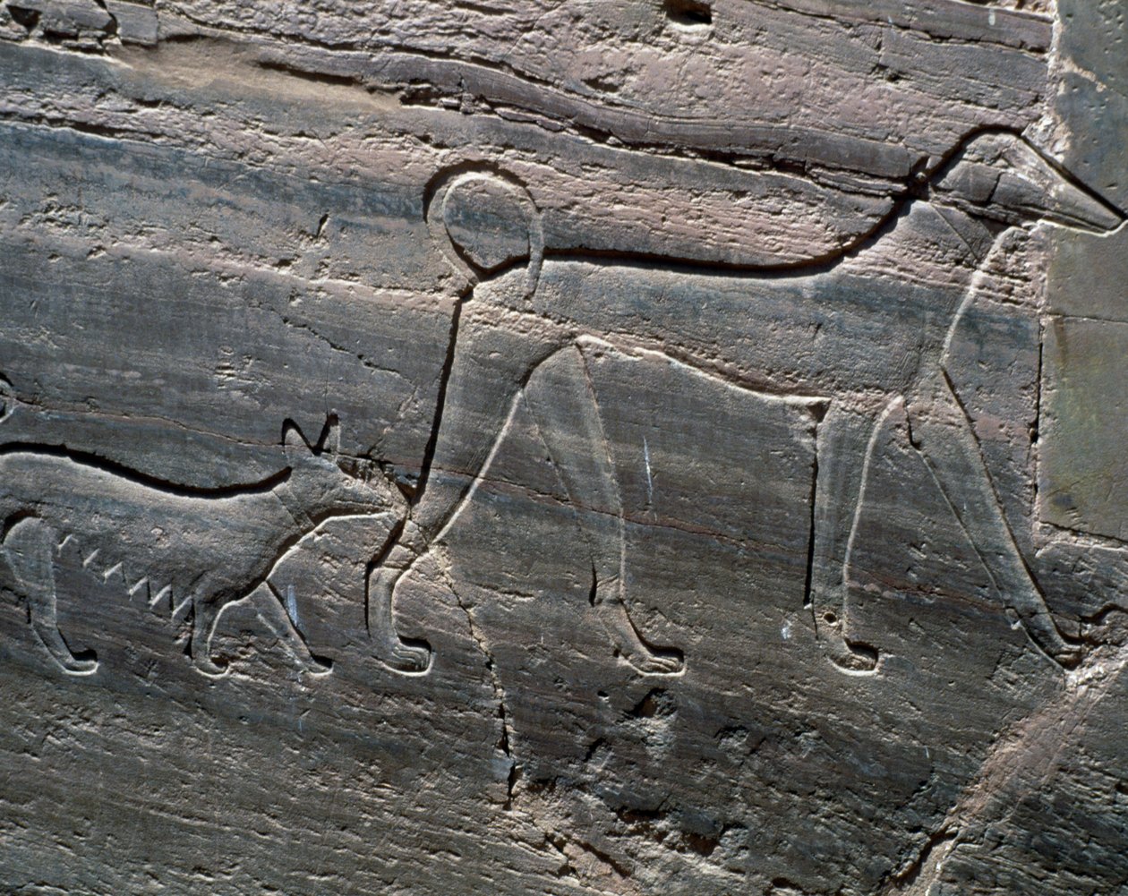 Pari koiraa, helpotus sisäänkäynnistä, Sarenput II:n hauta, prinssien haudat, Qubbet el-Hawa, Niilin länsiranta Aswanissa, Egyptin sivilisaatio, Keski-Britannia, XII-dynastia tekijältä Egyptian 12th Dynasty
