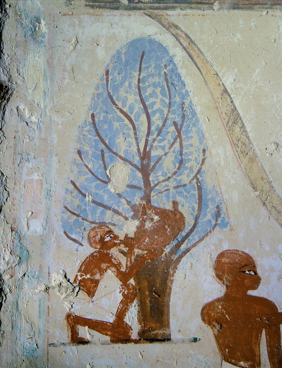 Talonpoika juo vesipullosta ... tekijältä Egyptian 18th Dynasty