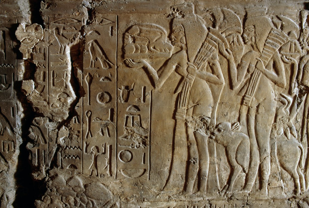 Bareljefi Maian haudasta, Tutankhamonin sairaanhoitaja, Saqqara, Egypti, Egyptin sivilisaatio, Uusi kuningaskunta, dynastia XVIII, yksityiskohta tekijältä Egyptian 18th Dynasty