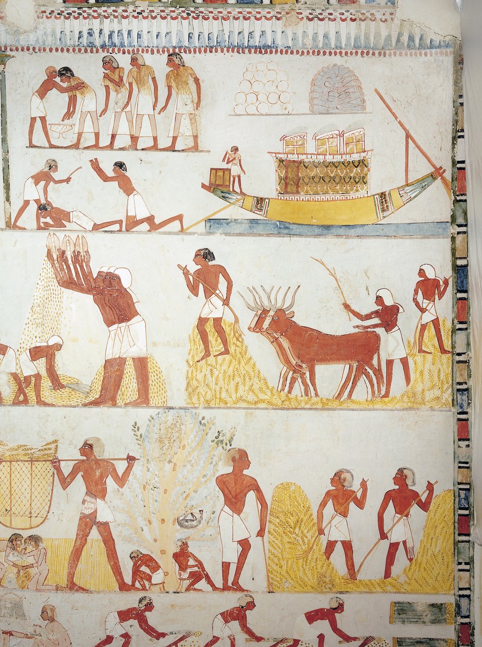 Vene ja sadonkorjuukohtaukset, viljan kerääminen, kuljetus ja käsittely, fresko, eteläsiipi, poikkikammio, Theban Tomb TT69, Sheikh Abd el-Qurna, Thebes (Unescon maailmanperintöluettelo) tekijältä Egyptian 18th Dynasty