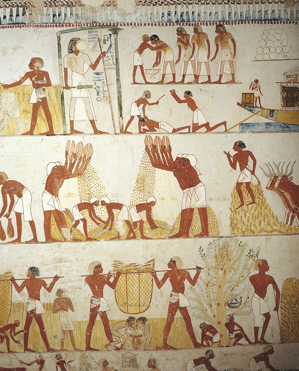 Egypti, Thebes, Luxor, Sheikh 