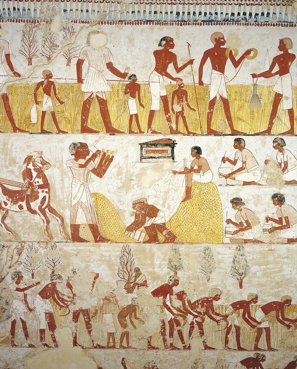 Egypti, Thebes, Luxor, Sheikh 