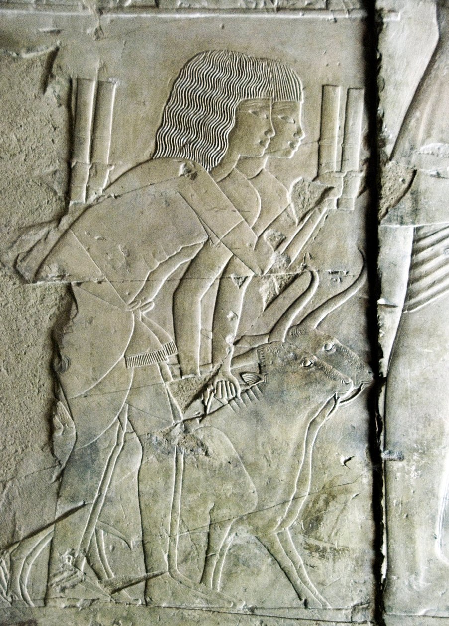 Egyptiläinen antiikki: yhdistää ullakkotarkastajan ja kirjurin Kha em Hetin (Khaemhat) haudasta Amenophis III:n (TT57) hoviin, joka edustaa juurikkaanpäitä uhriksi tarjoavia miehiä. 18. dynastia. 1530-1290 eaa. Vallee des Nobles. Luxor, Länsiranta, esim tekijältä Egyptian 18th Dynasty