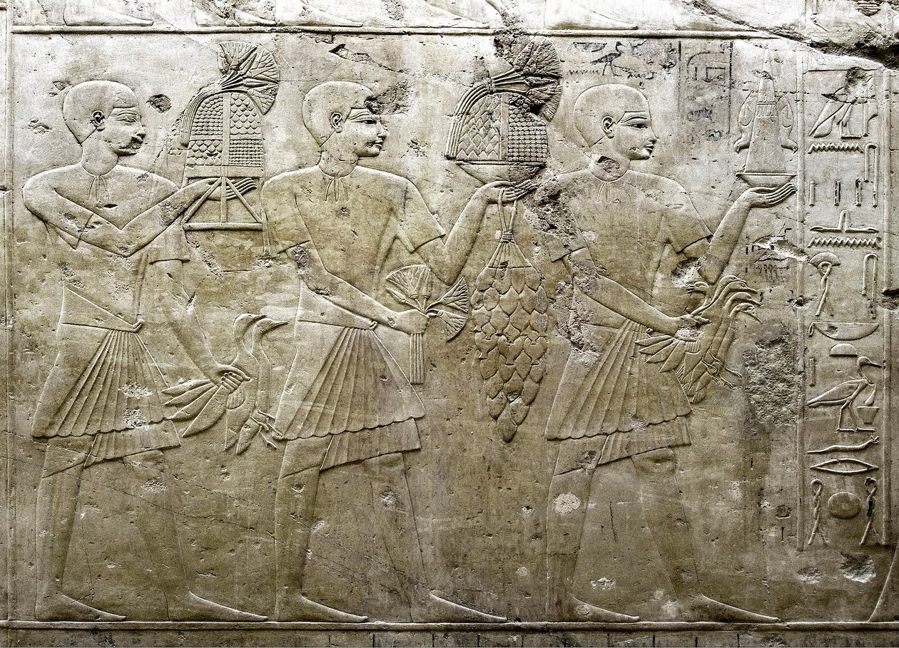 Egyptiläinen antiikki: esitys uhrien kantajista. Matala kohokuvio Visir Ramoseen haudasta (18. dynastia). Luxor, Thebes, Egyptin aatelisten laakso tekijältä Egyptian 18th Dynasty