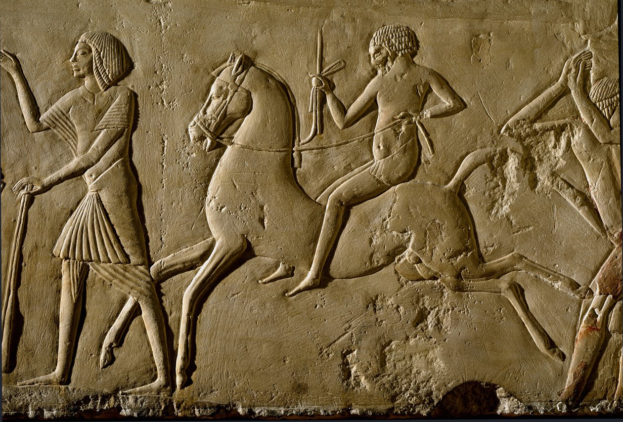 Egyptiläinen antiikki: "" soturi hevosen selässä"" Helpotusta korkean arvomiehen haudasta. 1354-1346 eaa. 18. dynastia. Bologna, Civico Museo Archeologico tekijältä Egyptian 18th Dynasty