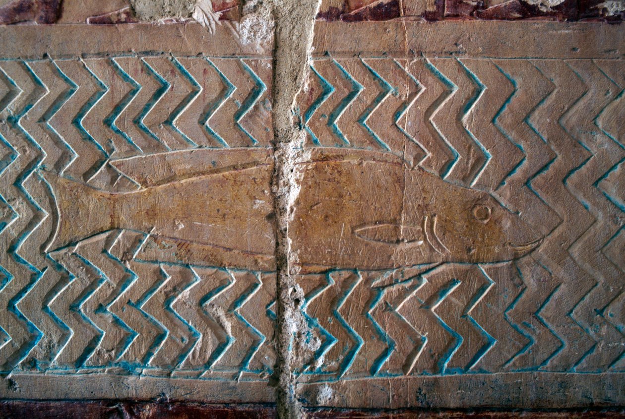 Kala, kohtauksia Puntin valtakunnasta, keskipylväikön eteläseinä, Hatšepsutin hautajaistemppeli, Deir el-Bahari, Thebanin nekropoli (Unescon maailmanperintöluettelo). tekijältä Egyptian 18th Dynasty