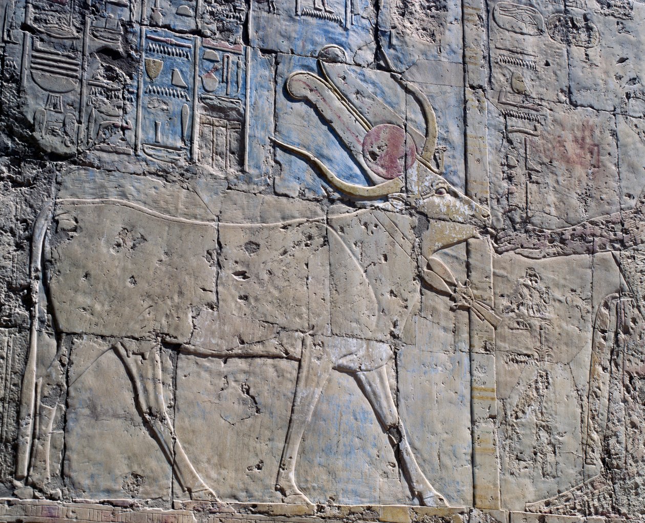 Jumalatar Hathor pyhän lehmän muodossa, maalattu reliefi, Hathorin kappeli, kuningatar Hatsepsutin hautajaistemppeli, joka tunnetaan myös nimellä Djeser-Djeseru, Deir el-Bahri, Thebe (Unescon maailmanperintöluettelo). tekijältä Egyptian 18th Dynasty