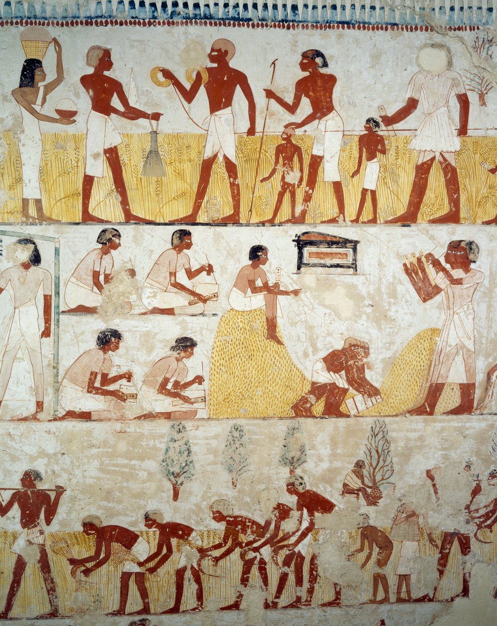 Sadonkorjuu, viljan puinti ja keruu, yksityiskohta freskoista Mennan haudan eteiseen, Sheikh Abd el Qurnah Necropolis, Luxor, Thebes (Unescon maailmanperintöluettelo) tekijältä Egyptian 18th Dynasty