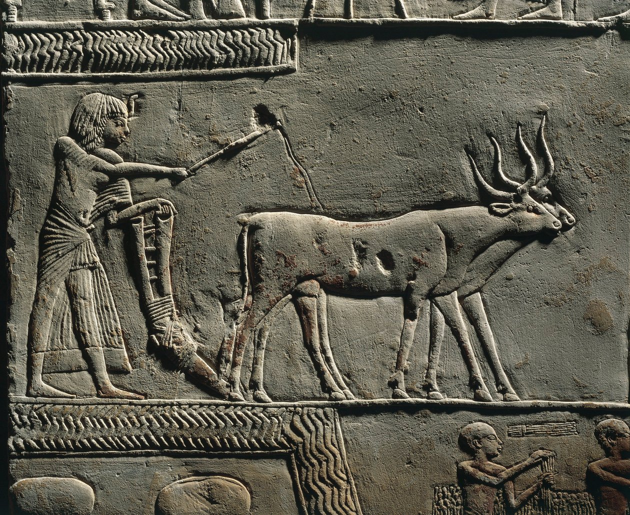 Horemheb kyntää maata Iarun pelloilla. Reliefi Horemhebin haudasta Saqkarassa, yksityiskohta. tekijältä Egyptian 18th Dynasty