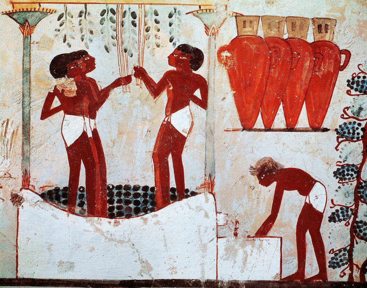 Kuvitus maaseudun arkielämästä: lintujen kyniminen ja rypäleiden korjuu, tulossa Nakht-haudalta Thebassa tekijältä Egyptian 18th Dynasty