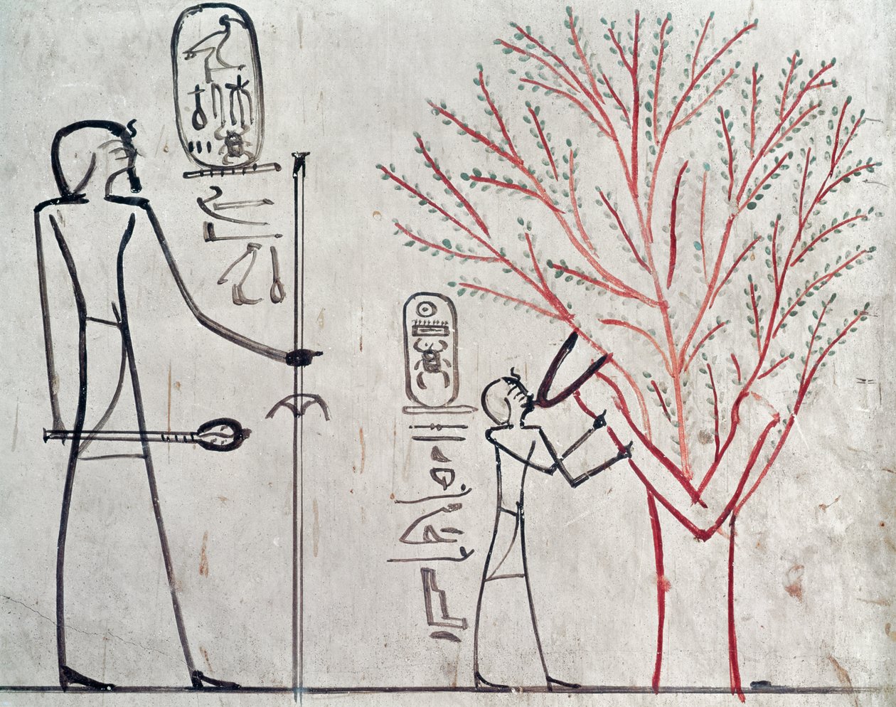 Isis metamorfoi tuthmosis III:ta (n. 1479-1425 eKr.) imeväksi sykomoripuuksi (seinämaalaus) tekijältä Egyptian 18th Dynasty