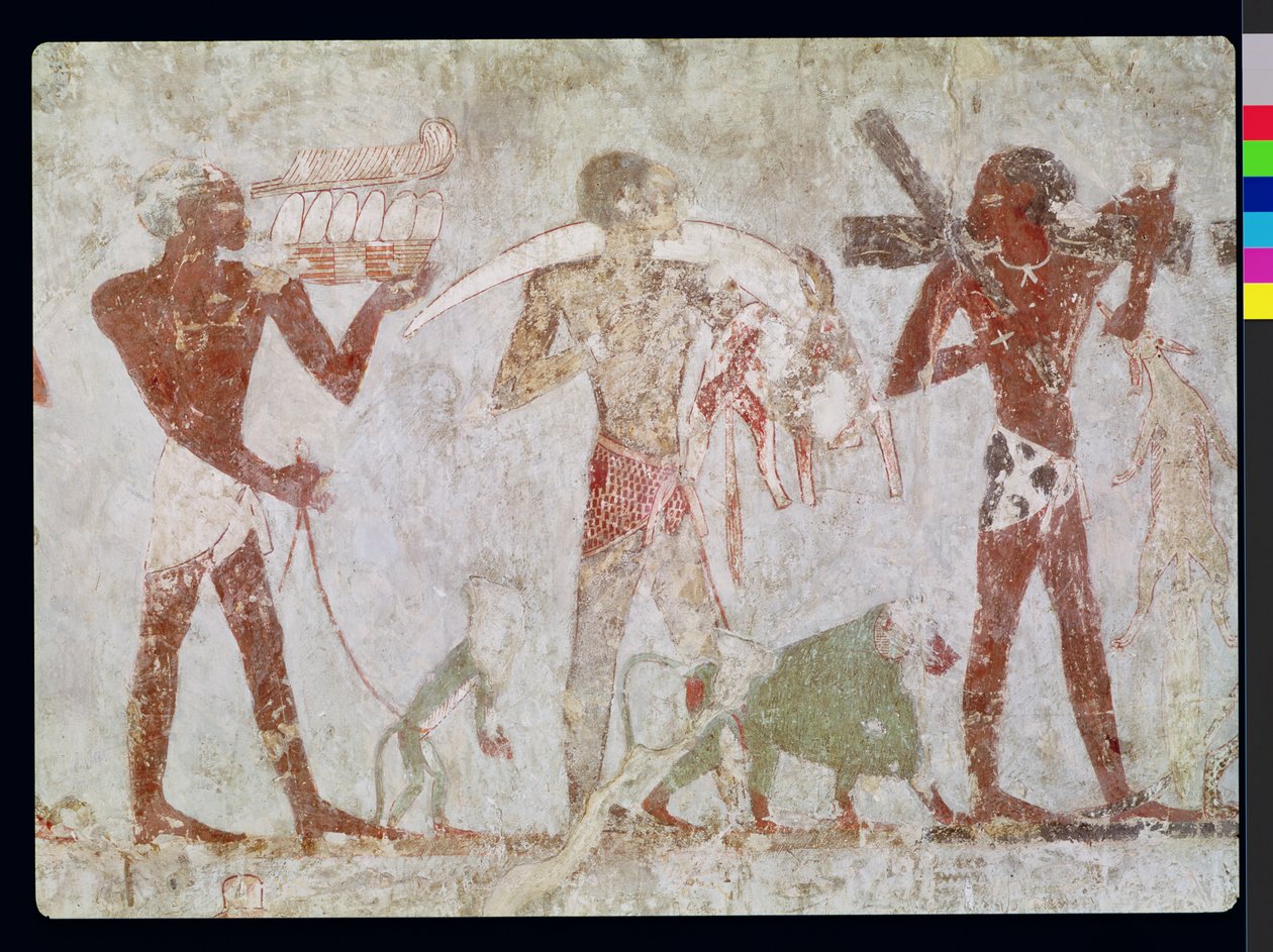 Kushitit, jotka kantavat kunnianosoituksia kullasta, norsunluusta ja eläinten nahasta, Rekhmiren haudasta, Tuthmosis III:n ja Amenhotep II:n visiiri, Uusi kuningaskunta (seinämaalaus) tekijältä Egyptian 18th Dynasty