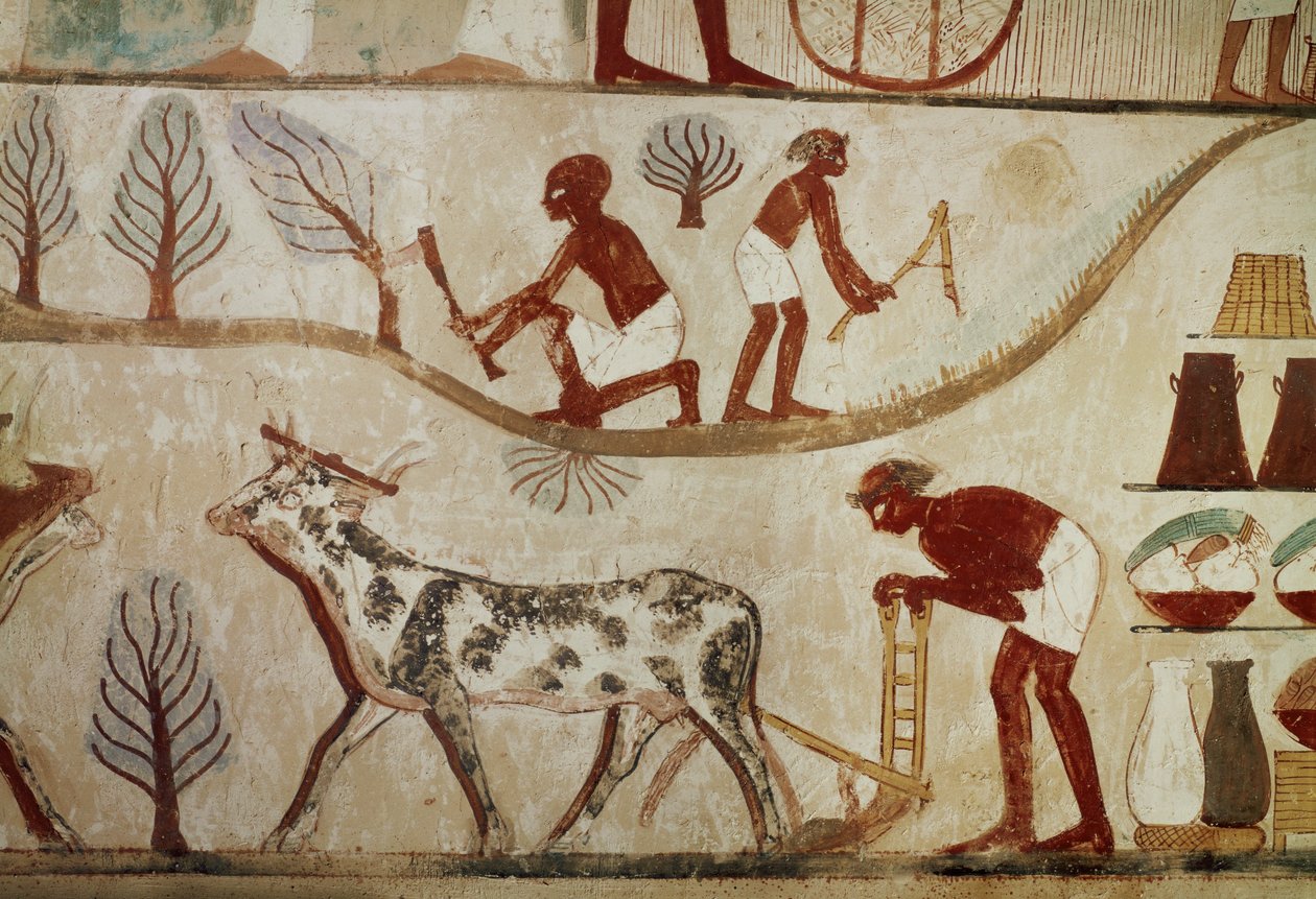  tekijältä Egyptian 18th Dynasty