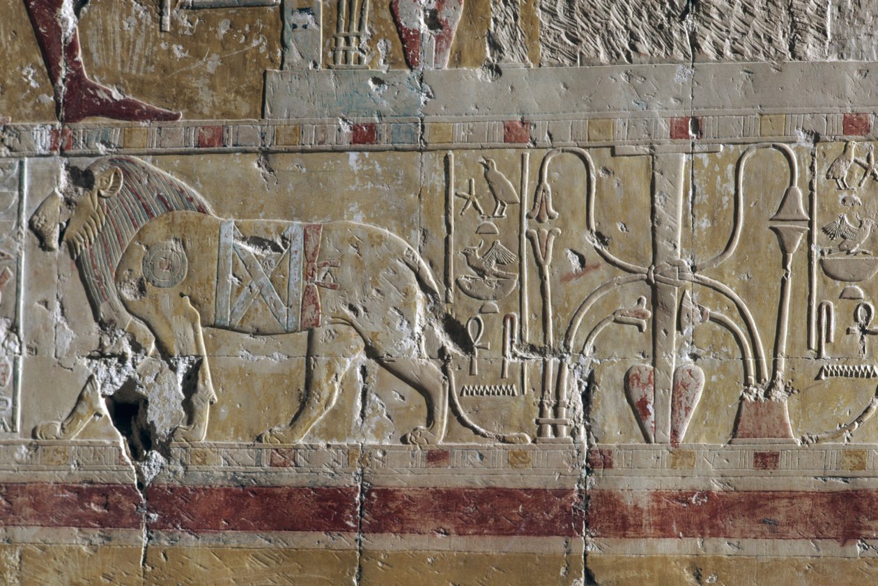 Leijona, reliefi, ruumishuone Hatshepsutin temppeli, Deir el-Bahari, Thebanin nekropoli (Unescon maailmanperintöluettelo). tekijältä Egyptian 18th Dynasty