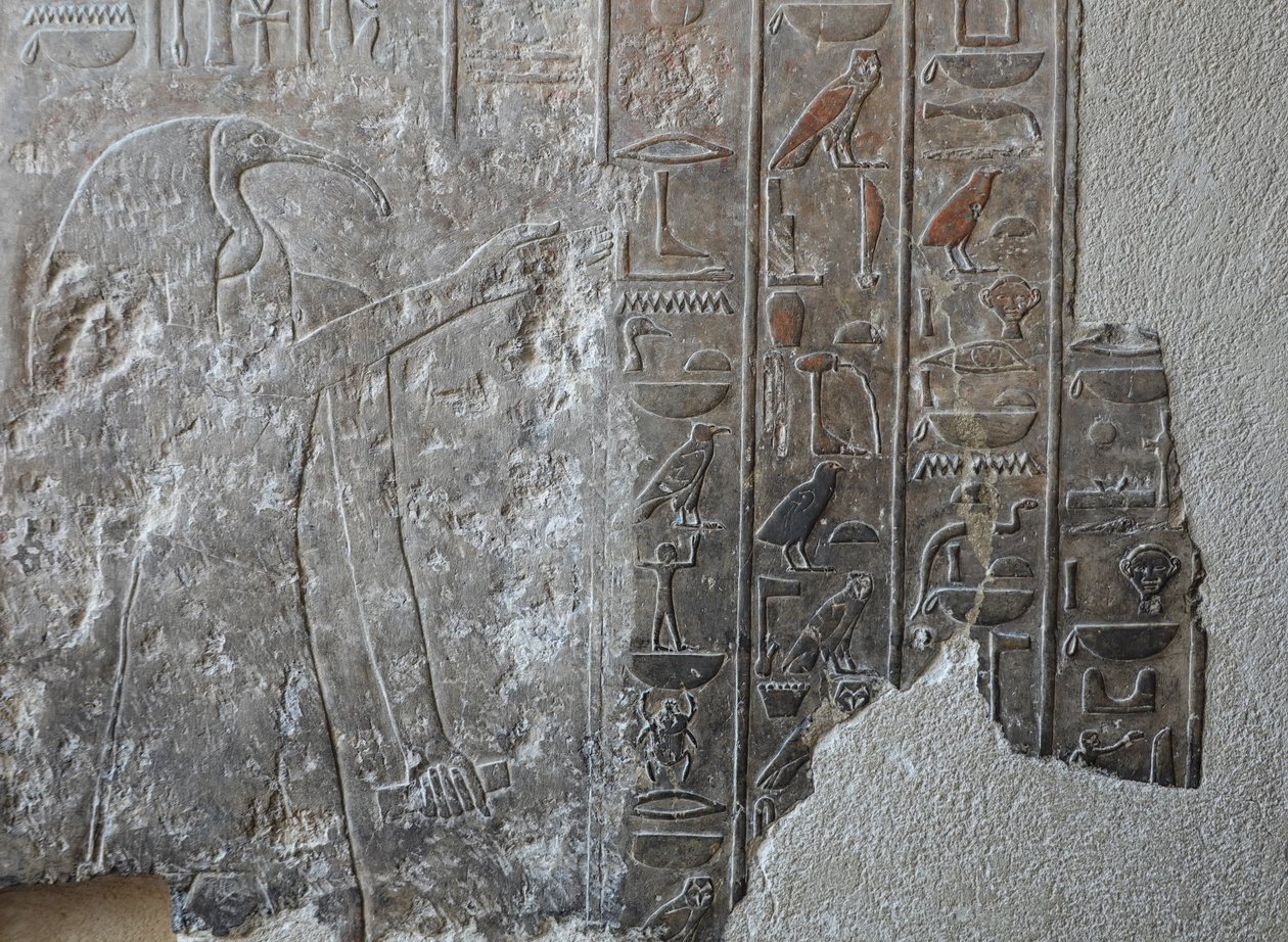 Alhainen helpotus. Hatšepsutin hautajaistemppeli, Deir el Bahari. tekijältä Egyptian 18th Dynasty