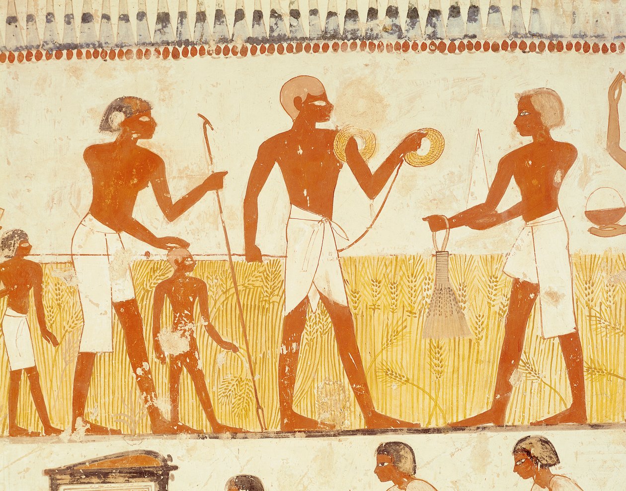 Maan mittaaminen köydellä, Mennan hautakappelista, Uudesta kuningaskunnasta (seinämaalaus) (katso myös 251666) tekijältä Egyptian 18th Dynasty
