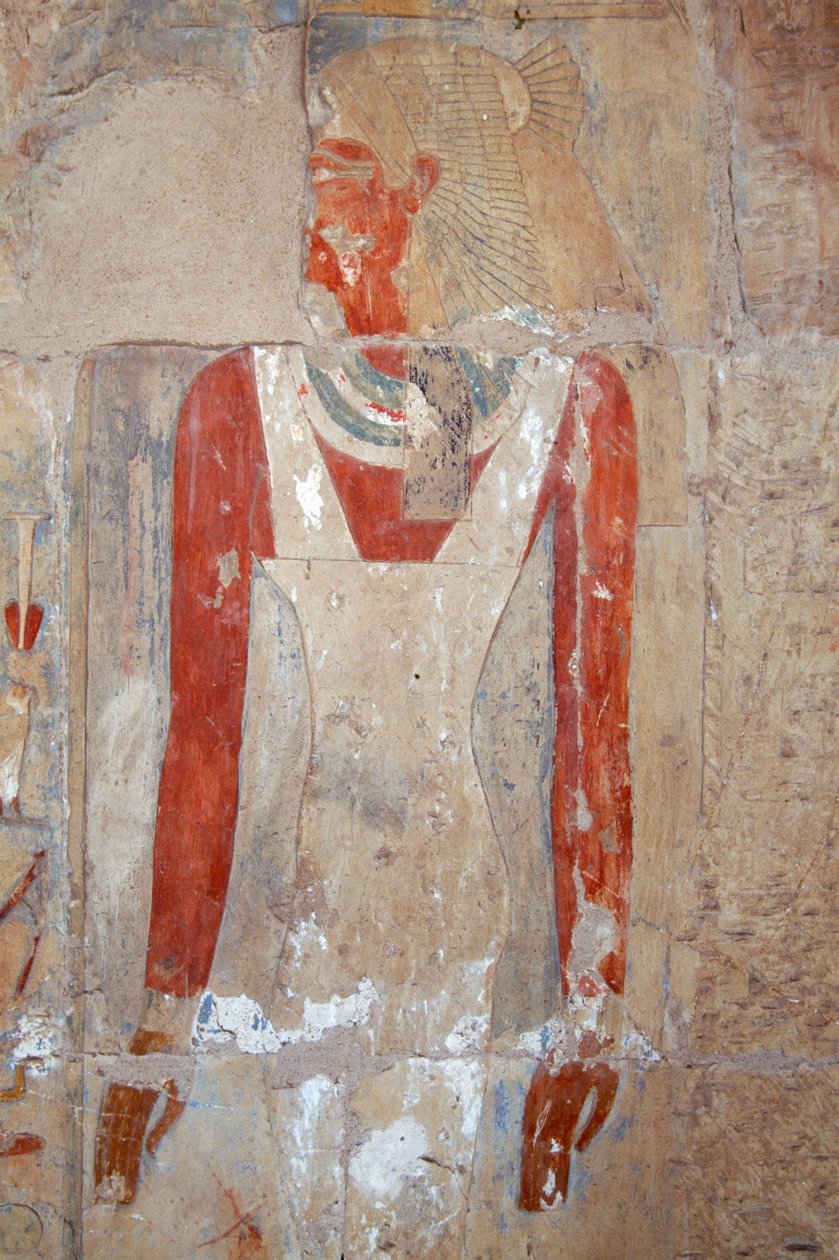 Maalattu reliefi, Hatsepsutin hautajaistemppeli, Deir el-Bahri, Thebanin nekropoli (Unescon maailmanperintöluettelo). tekijältä Egyptian 18th Dynasty