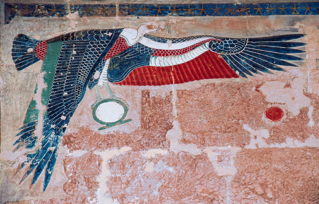 Ylä-Egyptin korppikotkaa esittävä maalattu reliefi, Hatsepsutin hautajaistemppeli, Deir el-Bahari, Luxor, Thebe (Unescon maailmanperintöluettelo). tekijältä Egyptian 18th Dynasty