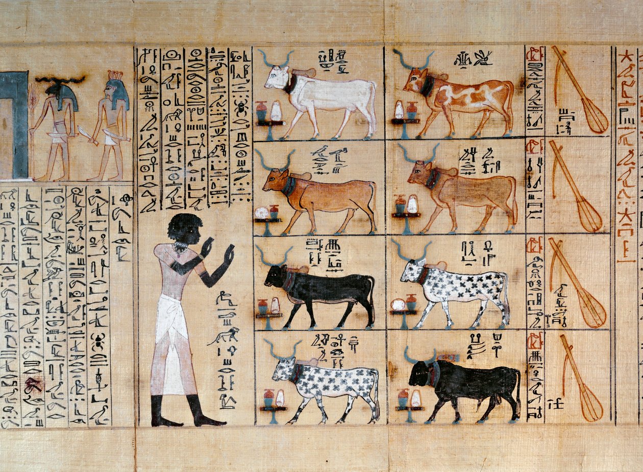 Papyrus, joka kuvaa härkiä, Maiherperin kuolleiden kirjasta. tekijältä Egyptian 18th Dynasty