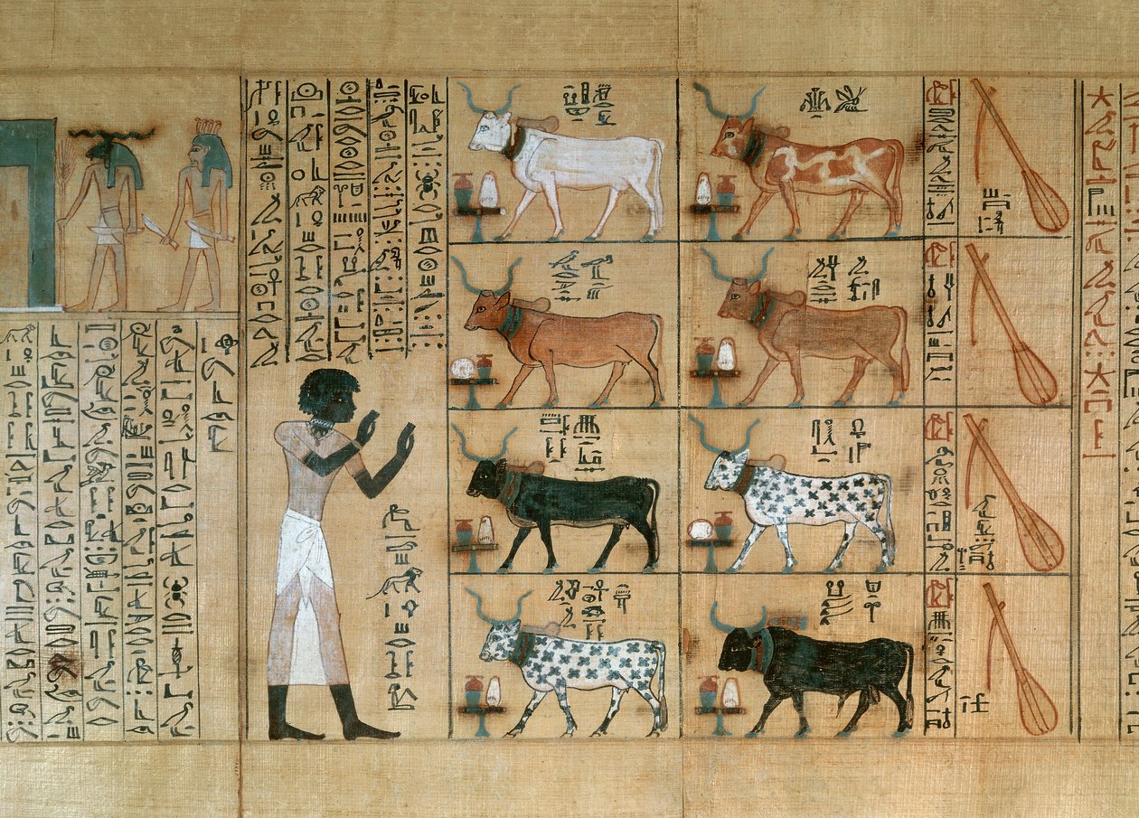 Papyrus, joka kuvaa härkiä, Maiherperin kuolleiden kirjasta. tekijältä Egyptian 18th Dynasty