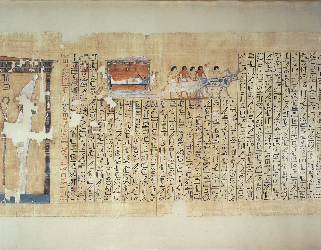 Papyrus, joka kuvaa sarkofagin kuljettamista härän vetämillä vaunuilla, Maiherperin kuolleiden kirjasta. tekijältä Egyptian 18th Dynasty