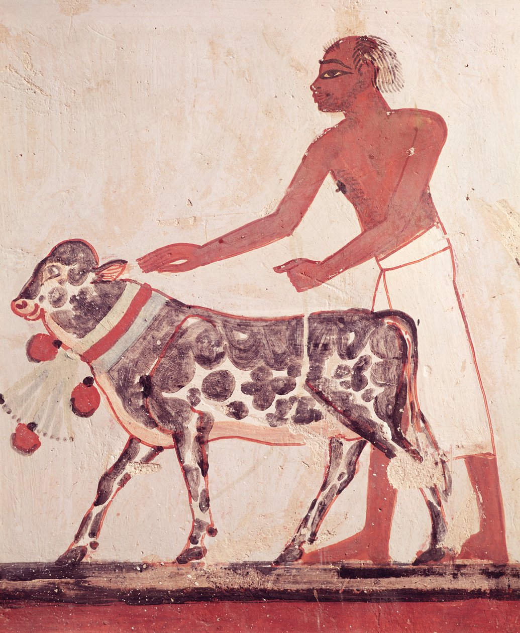 Talonpoika, joka johtaa lehmän uhriin, Mennan haudalta (seinämaalaus) tekijältä Egyptian 18th Dynasty