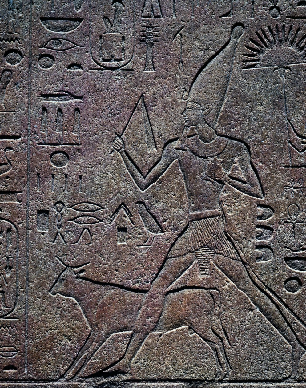 Kuningatar Hatsepsut Apis-härkä seuranaan juhlavuoden juhlallisuuksien aikana, reliefi, Amunin temppeli, Karnakin temppelikompleksi (Unescon maailmanperintöluettelo). tekijältä Egyptian 18th Dynasty