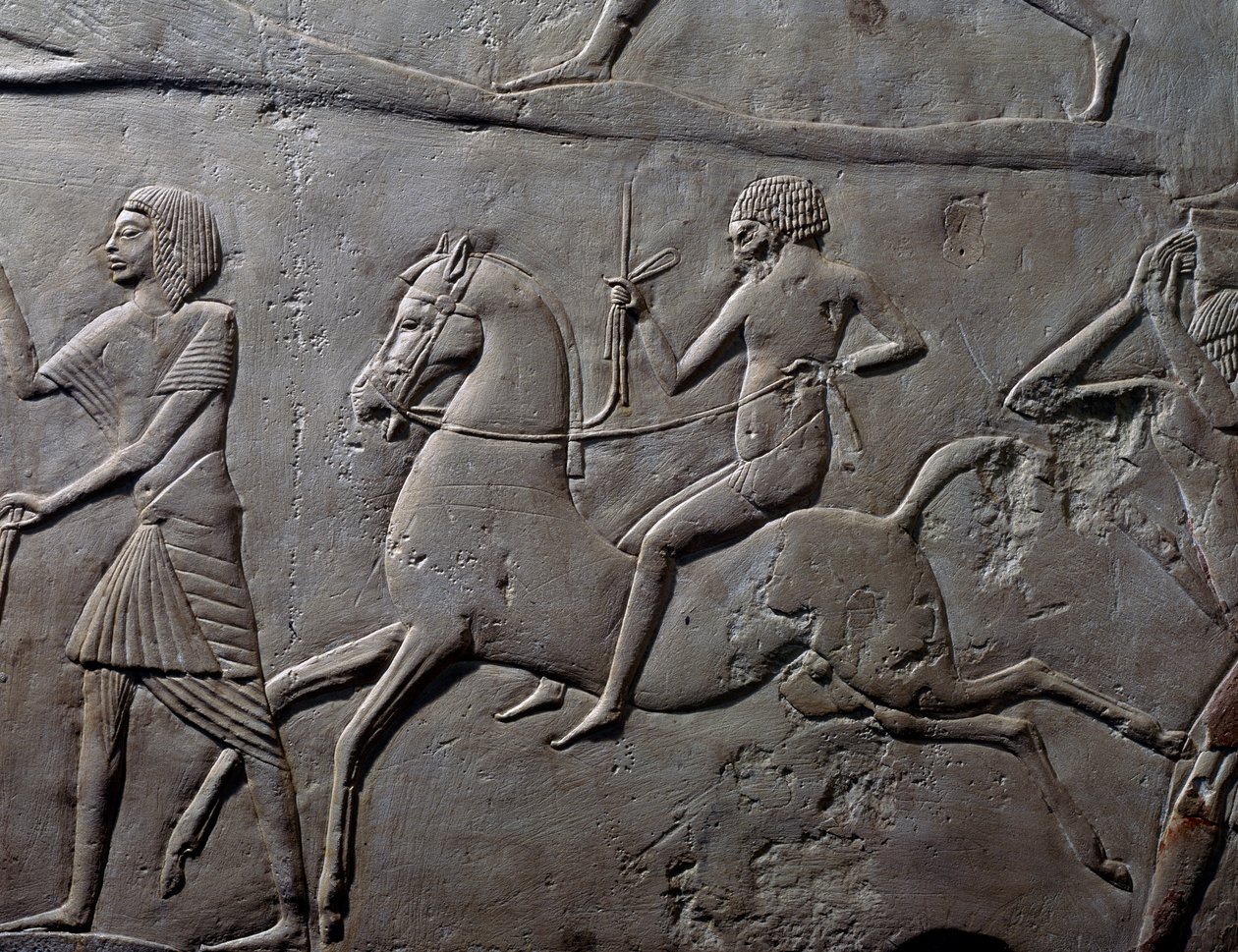 Reliefi hevosen selässä, yksityiskohta sotilaiden sotilasleiriä esittävästä seinäreliefistä, kalkkikiveä, Horemhebin Memfiittihaudasta Saqkarassa, Egyptin sivilisaatio, Uusi valtakunta, XVIII dynastia tekijältä Egyptian 18th Dynasty