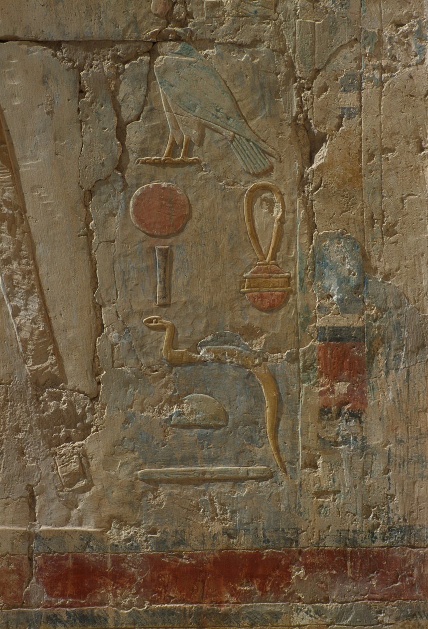 Horusta kuvaava reliefi, jumalatar Hathorin kappeli, Hatshepsutin ruumistemppelistä (n. 1503-1482 eKr.) Uusi kuningaskunta (maalattu kalkkikivi) tekijältä Egyptian 18th Dynasty