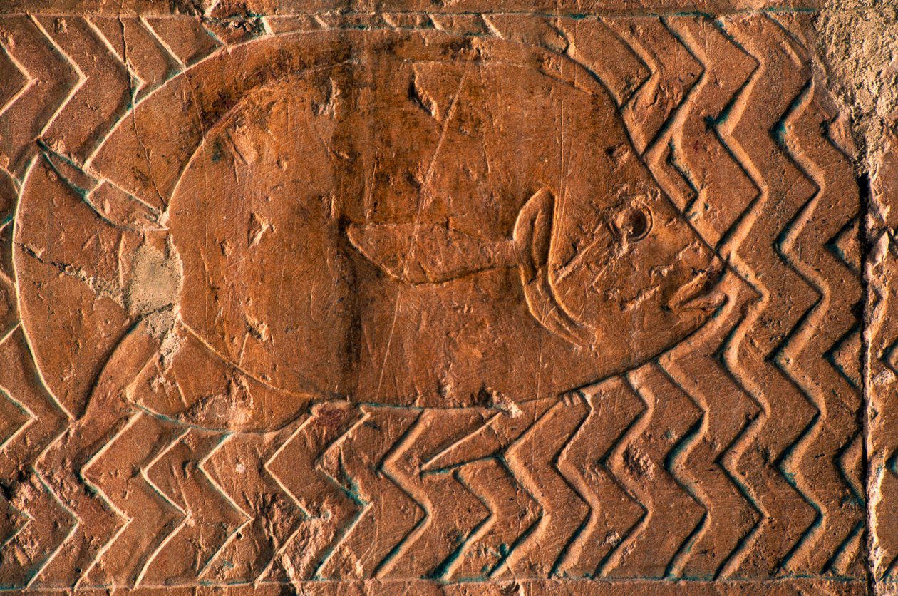 Kalojen esitys, Puntin kuningaskunnan kohtaukset, keskuspylväikön eteläseinä, Hatshepsutin ruumistemppeli, Deir el-Bahari, Luxor, Thebes (Unescon maailmanperintöluettelo) tekijältä Egyptian 18th Dynasty