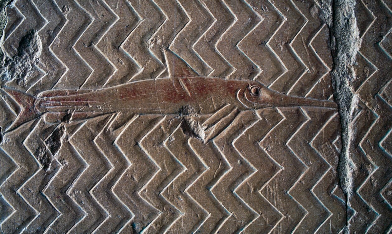 Kalojen esitys, Puntin kuningaskunnan kohtaukset, keskuspylväikön eteläseinä, Hatshepsutin ruumistemppeli, Deir el-Bahari, Luxor, Thebes (Unescon maailmanperintöluettelo) tekijältä Egyptian 18th Dynasty