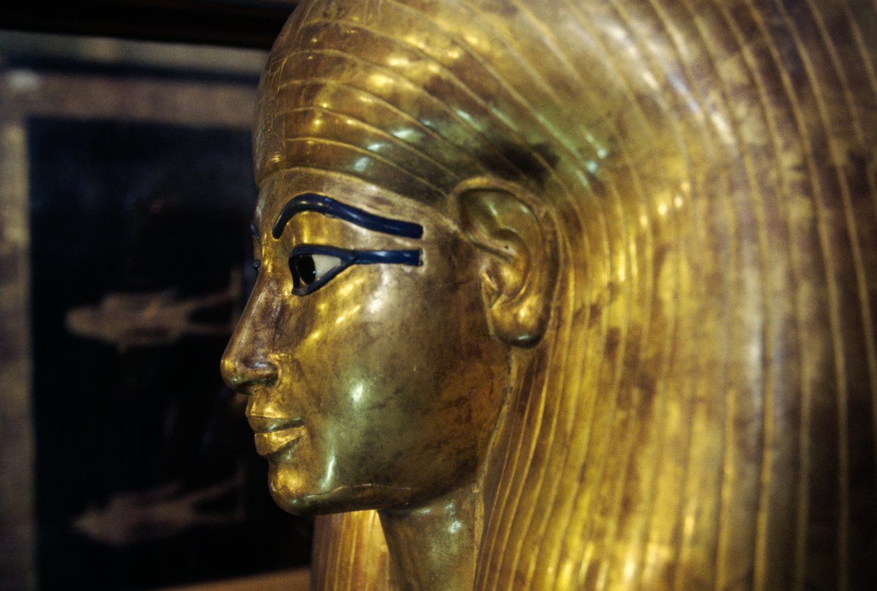 Tjuyan sarkofagi, Yuya Tjuyan haudasta, Kuninkaiden laakso, Egypti, Egyptin sivilisaatio, Uusi valtakunta, XVIII dynastia, Yksityiskohta tekijältä Egyptian 18th Dynasty