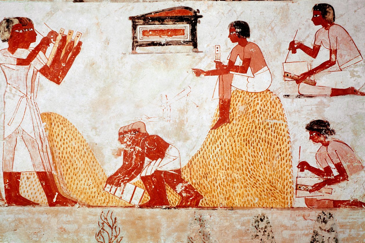 Mennan hauta: Maatalouskohtaus: kerää jyviä sadonkorjuun tallentavan kirjurin valvonnassa (fresko) tekijältä Egyptian 18th Dynasty