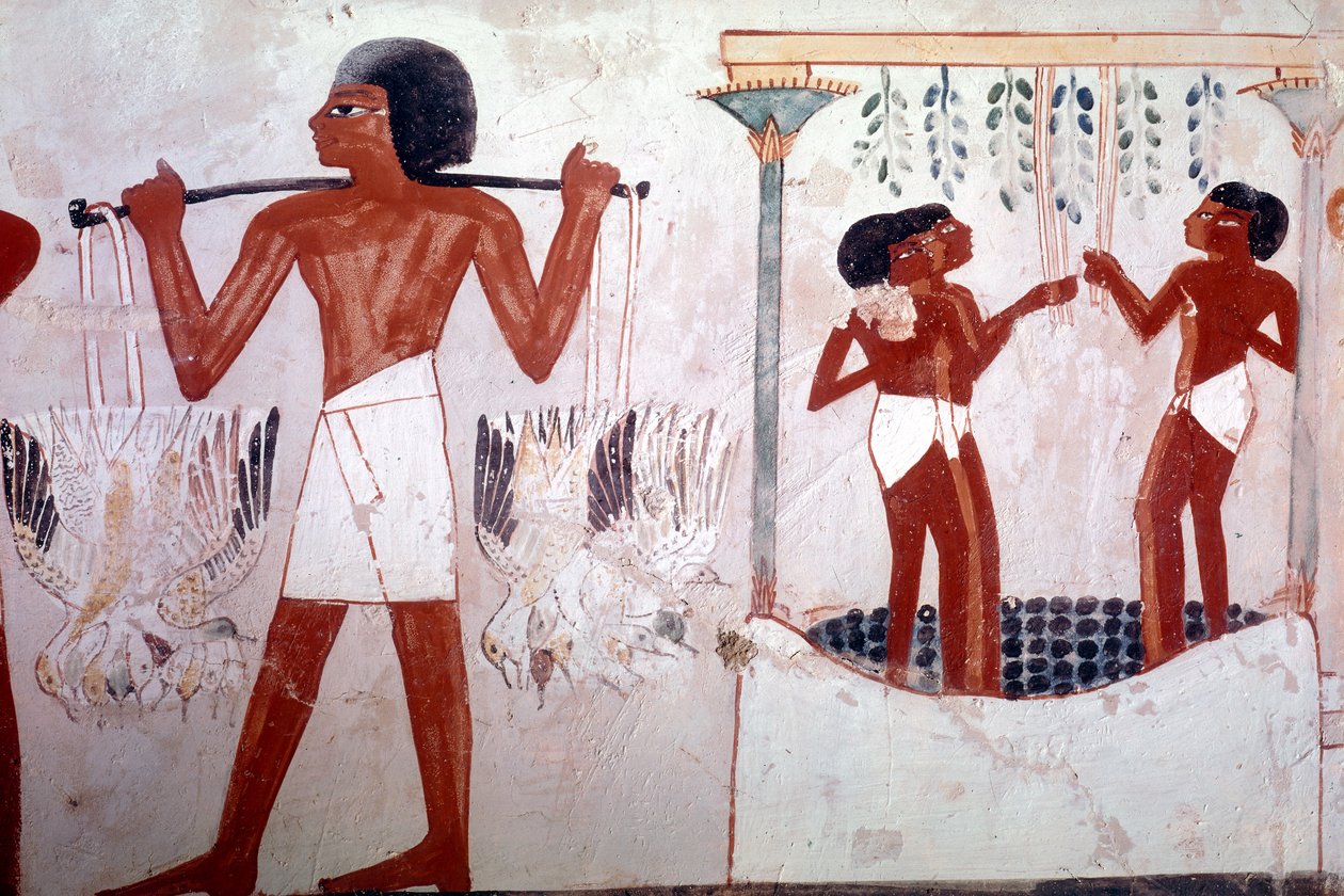 Tuntematon kuva tekijältä Egyptian 18th Dynasty