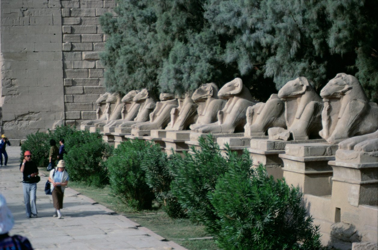 Pässipäisten sfinksien katu reunustavat kulkuetta Amunin suureen temppeliin, Uusi kuningaskunta tekijältä Egyptian 19th Dynasty