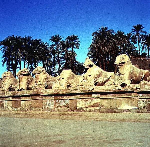 Pässipäisten sfinksien katu reunustavat kulkuetta Amunin suureen temppeliin, Uusi kuningaskunta tekijältä Egyptian 19th Dynasty