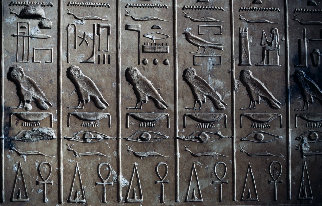 Bas-reliefi, jossa hieroglyfiset reliefit, jotka esittävät Horus-jumalaa haukan ja elämän symbolin ankh:n muodossa, Seti I:n temppeli tai Abydoksen suuri temppeli, Abydos, Egypti, Egyptin sivilisaatio, Uusi valtakunta, XIX dynastia tekijältä Egyptian 19th Dynasty
