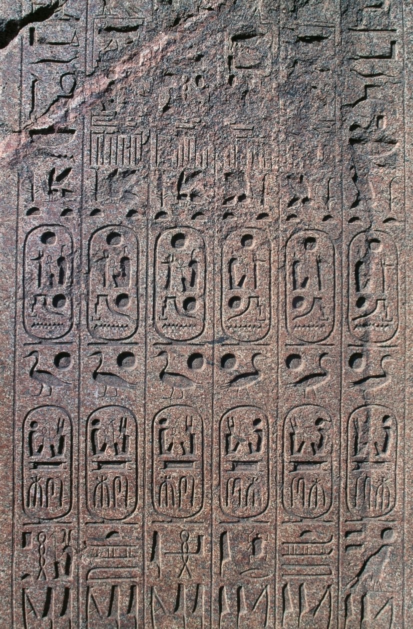Kortteli reliefeillä ja kirjoituksilla, Amunin suuri temppeli, Tanis, Egypti, Uusi kuningaskunta, Dynastia XIX tekijältä Egyptian 19th Dynasty