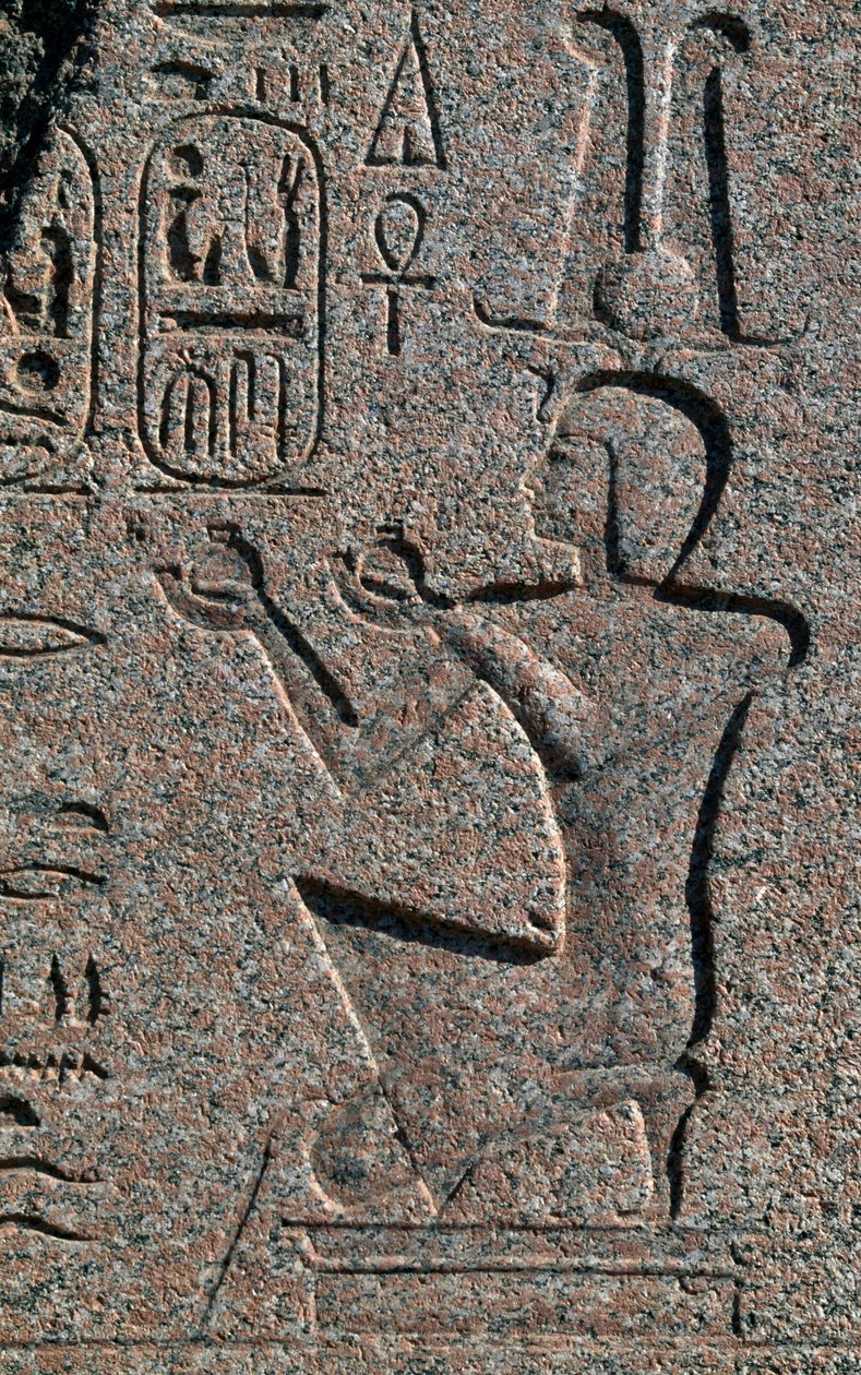 Lohko, jossa on reliefit ja Ramses II:n kirjoitukset, Amunin suuri temppeli, Tanis, Egypti, Egyptin sivilisaatio, Uusi valtakunta, XIX dynastia. tekijältä Egyptian 19th Dynasty
