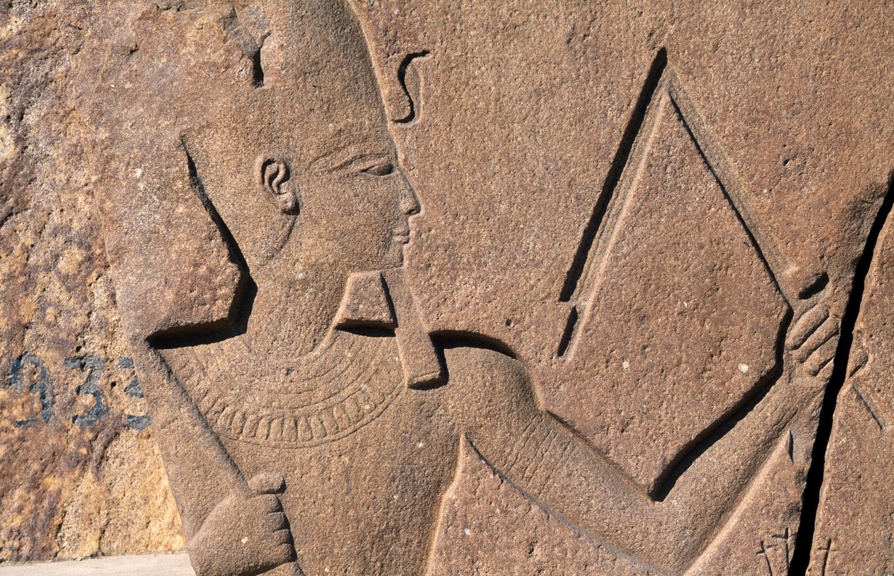 Lohko, jossa on reliefit ja Ramses II:n kirjoitukset, Amunin suuri temppeli, Tanis, Egypti, Egyptin sivilisaatio, Uusi valtakunta, XIX dynastia. tekijältä Egyptian 19th Dynasty