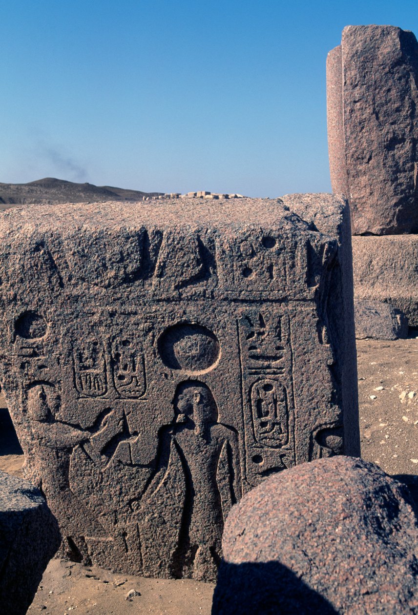 Lohko, jossa on Ramesses II:n reliefit ja kirjoitukset, Amunin suuri temppeli, Tanis, Egypti, Uusi valtakunta, XIX dynastia. tekijältä Egyptian 19th Dynasty