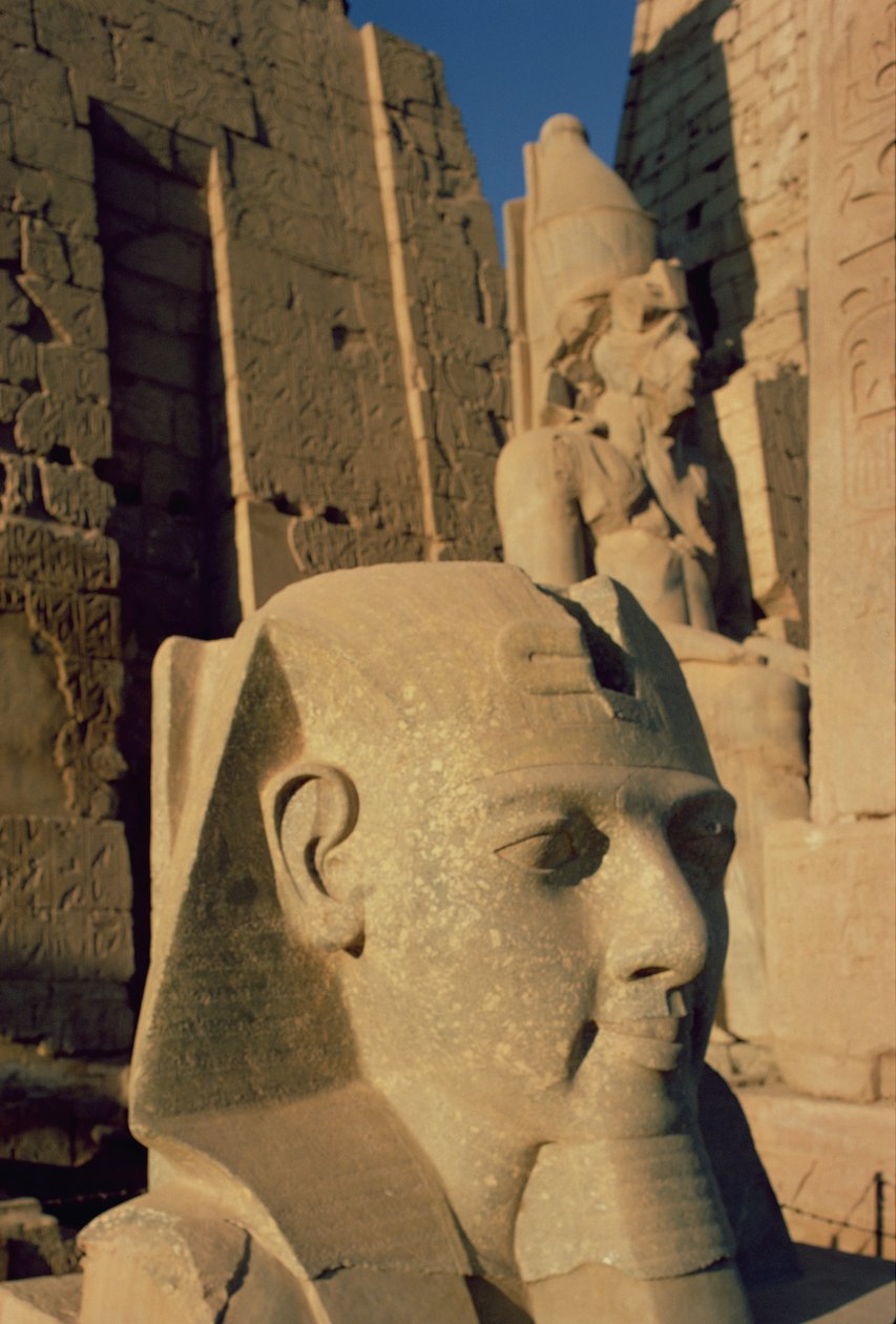 Ramses II:n (1298-32 eKr.) Uuden kuningaskunnan kolossaalinen pää tekijältä Egyptian 19th Dynasty