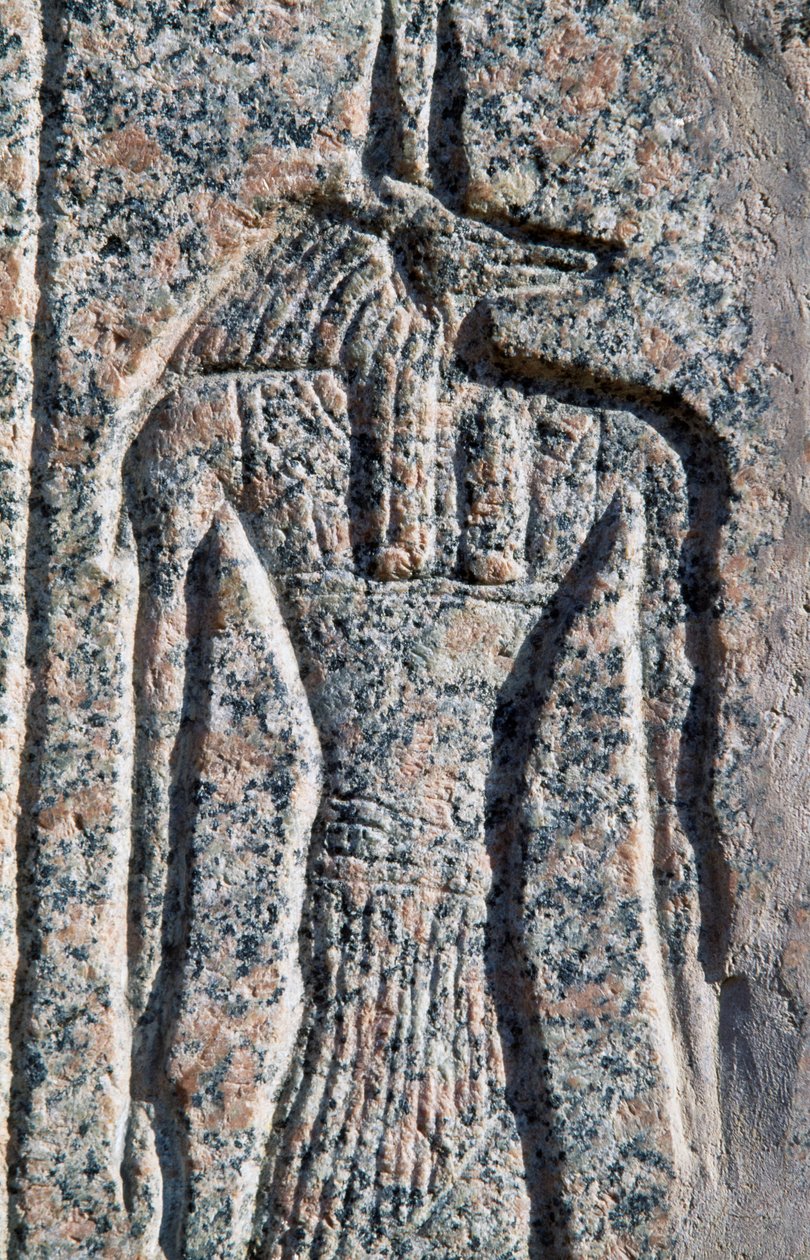 Anubiksen kuva, yksityiskohta kirjoituksesta ja reliefi Anubiksesta ja toisesta jumalasta, Amenhotepin sarkofagi, Memphis (Unescon maailmanperintöluettelo). tekijältä Egyptian 19th Dynasty