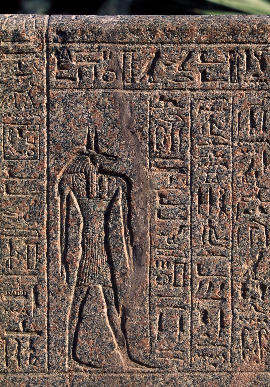 Anubiksen kuva, yksityiskohta kirjoituksesta ja reliefi Anubiksesta ja toisesta jumalasta, Amenhotepin sarkofagi, Memphis (Unescon maailmanperintöluettelo). tekijältä Egyptian 19th Dynasty