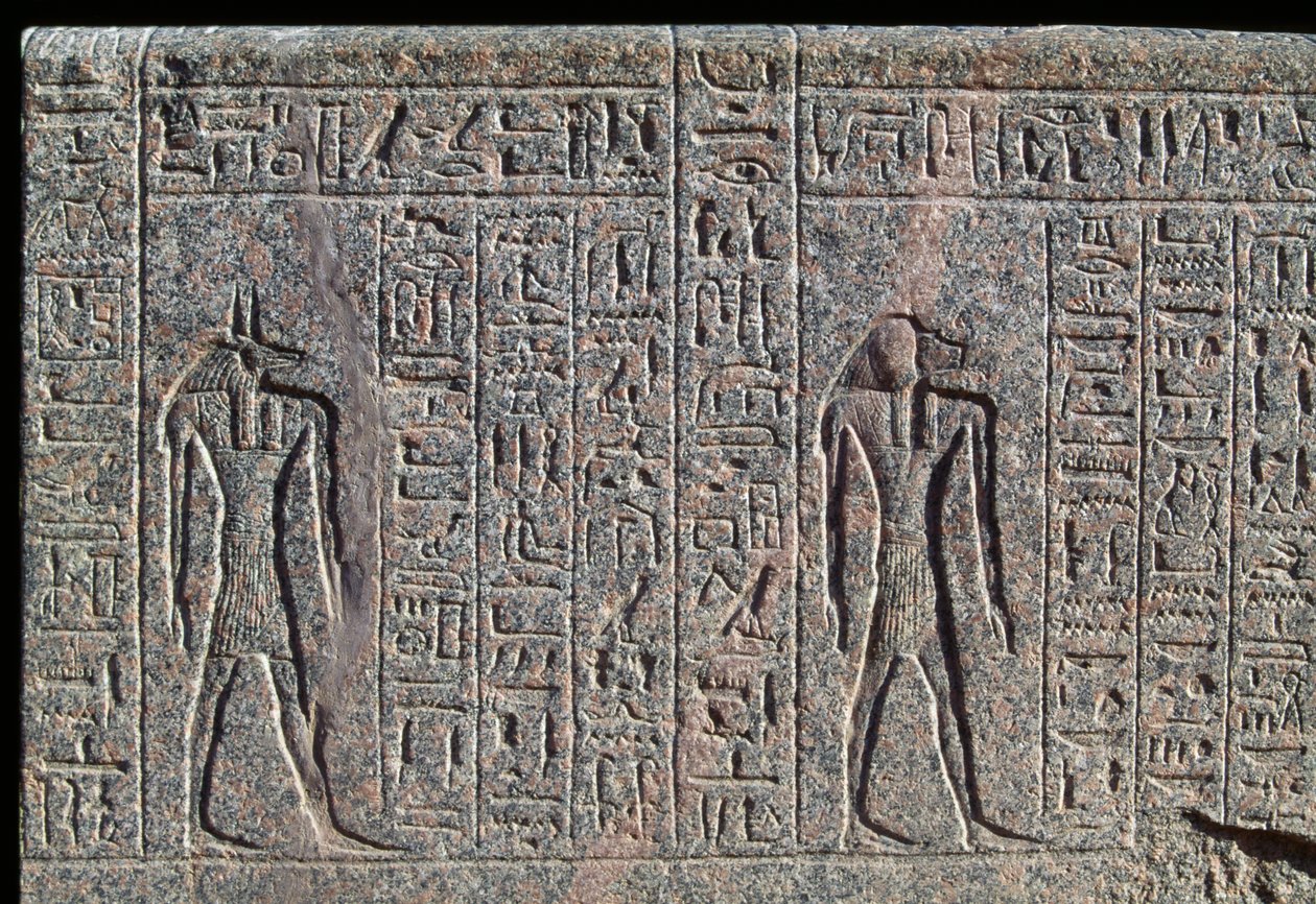 Anubiksen kuva, yksityiskohta kirjoituksesta ja reliefi Anubiksesta ja toisesta jumalasta, Amenhotepin sarkofagi, Memphis, Egypti, Uusi valtakunta, XIX dynastia. tekijältä Egyptian 19th Dynasty