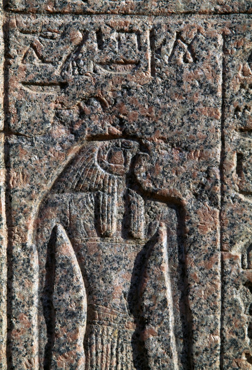 Horuksen kuva, Horuksen ja Thotin kirjoitus ja reliefi, Amenhotepin sarkofagi, Memphis, Egypti, Uusi valtakunta, XIX dynastia. tekijältä Egyptian 19th Dynasty