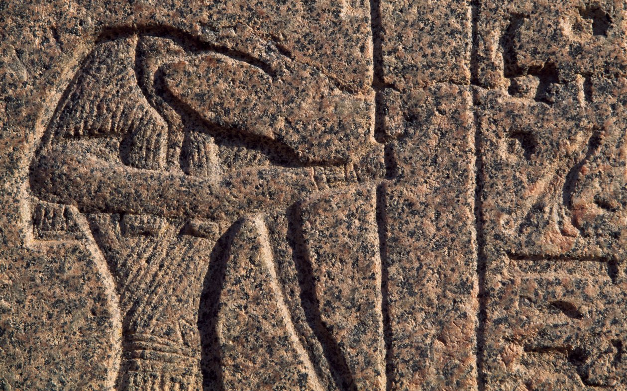 Kuvaus Thotista, yksityiskohta kaiverruksesta ja reliefistä Thotista ja Horuksesta, Amenhotepin sarkofagi, Memphis (Unescon maailmanperintöluettelo) tekijältä Egyptian 19th Dynasty