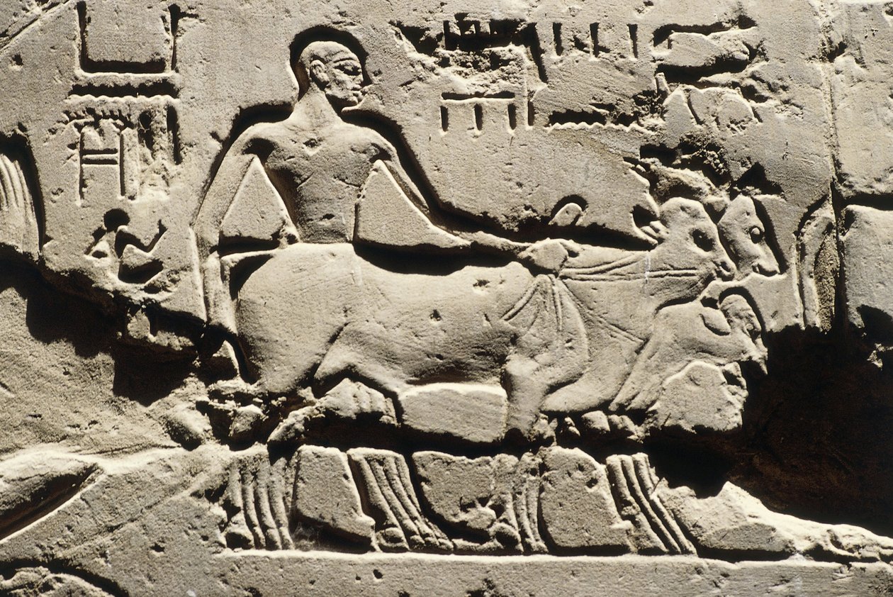 Egypti Muinaisegypti, Luxor, Luxorin temppeli, Ramses II:n piha, reliefi, Uusi valtakunta, XIX dynastia (1290-1224 eKr.) tekijältä Egyptian 19th Dynasty