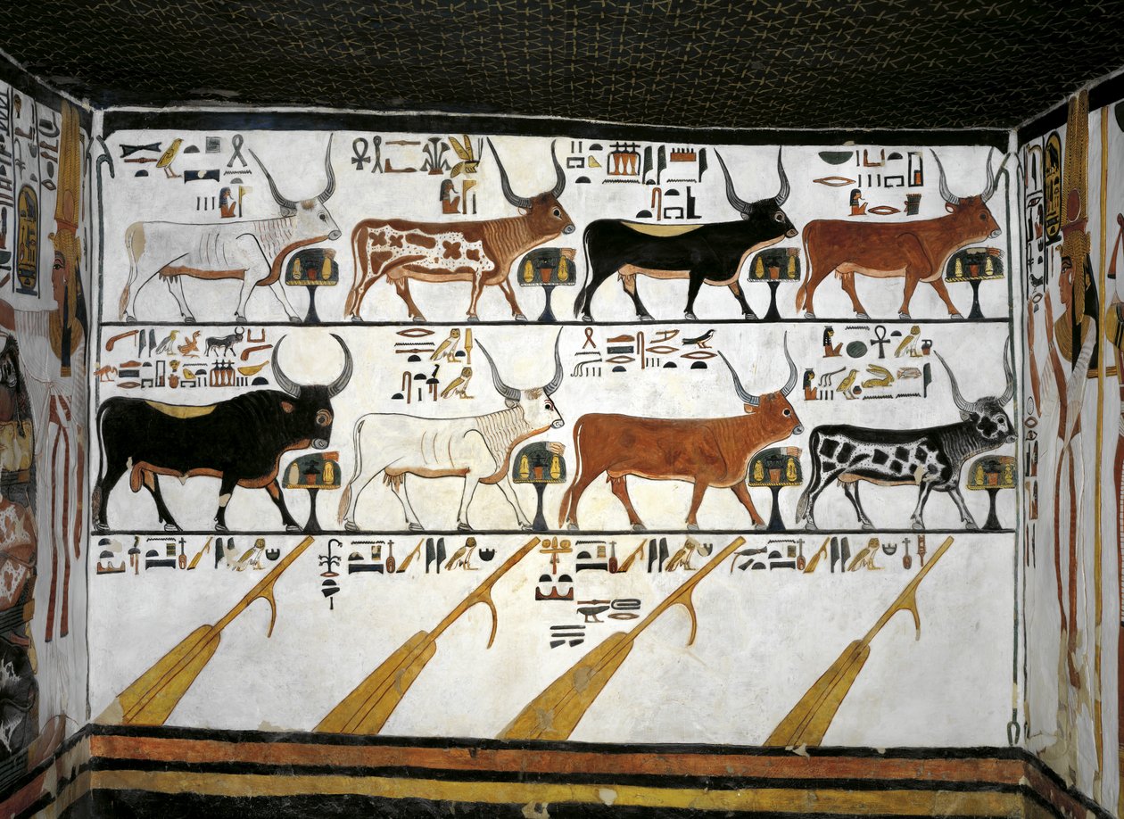 Egypti, Thebes, Luxor, Kuningattaren laakso, Nefertarin hauta, eteisammion lisärakennus, seinämaalauksia, kuvitettu kuolleiden kirja, luku 89 tekijältä Egyptian 19th Dynasty