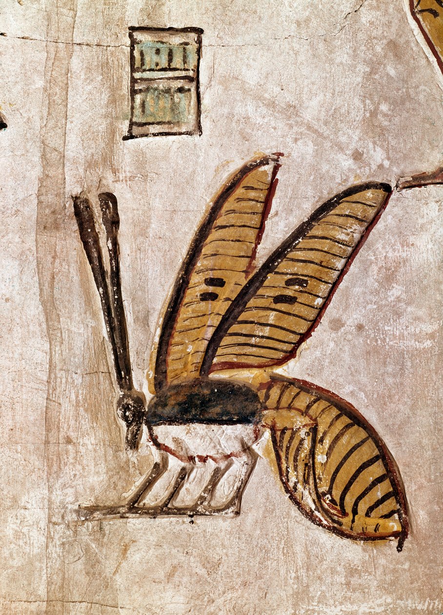 Egyptiläinen taide: Sethi I:n hauta (Sety I tai Seti I, regne -1294 - -1279). Yksityiskohta mehiläisestä. 19. dynastia Luxorin fresko (Thebesin paikka kuninkaiden laaksossa), Niilin vasen ranta, Egypti. - Muinainen Egypti: Seti I:n hauta (Sety I ja Seti I, tekijältä Egyptian 19th Dynasty